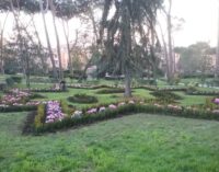 Albano Laziale, Villa Doria: piantate 2.500 piantine