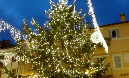 Castel Gandolfo – Arriva l’albero di Natale  nella storica piazza del borgo
