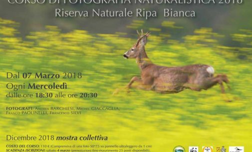 Corso di fotografia naturalistica 2018 Riserva Naturale Ripa Bianca di Jesi