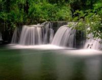 Poesie di primavera alle cascate di Monte Gelato