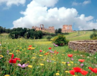 Archeo Trekking lungo l’Appia Antica e Yoga dei Luoghi.