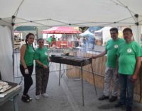 In arrivo la 9° edizione della Festa delle Pappardelle al Cinghiale