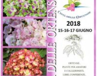 Bolsena – Il lago vulcanico più grande d’Europa ospita  la Festa delle Ortensie