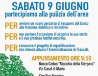 Frascati: a sabato 9 per conoscere il Bosco Ceduo