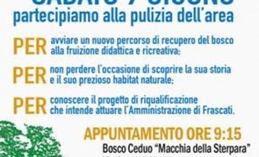 Frascati: a sabato 9 per conoscere il Bosco Ceduo