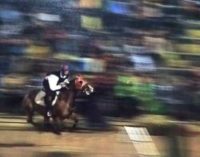 Palio di Sant’Oliva, sabato l’atto finale del Carosello Storico dei Rioni di Cori