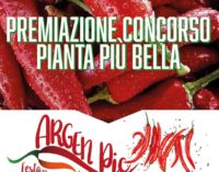 TARQUINIA LIDO – MOSTRA/CONCORSO PIANTA DI PEPERONCINO PIU’ BELLA