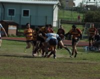 Rugby Frascati Union 1949, ufficializzato l’organigramma per la stagione 2018-19