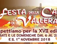 LA FESTA DELLA CASTAGNA DI VALLERANO