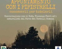 Appuntamento con i pipistrelli – conoscerli per tutelarli