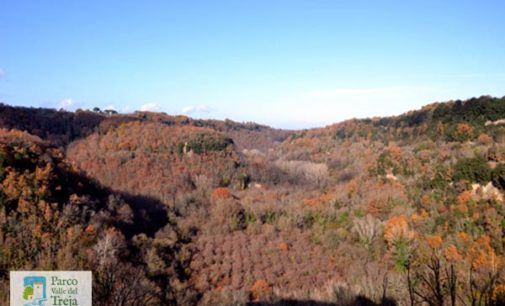 Calcata – Visite guidate tra esplorazioni e archeologia