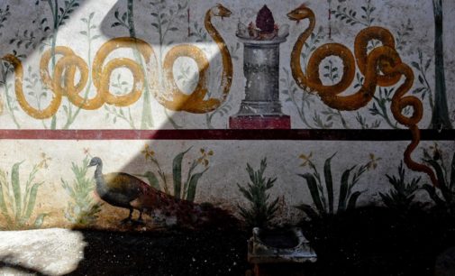 Pompei – SERPENTI AGATODEMONI, PAVONI, DECORI FLOREALI E SCENE DI CACCIA