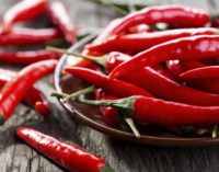 PEPERONCINO FESTIVAL DI ROMA – STRENNE PICCANTI LA V EDIZIONE 24 E 25 NOVEMBRE – ROMA