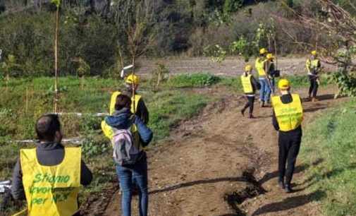 Festa dell’Albero 2018, con Legambiente oltre 400 nuovi alberi nel Lazio