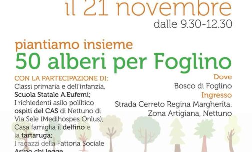 Festa nazionale degli alberi 2018