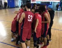 San Nilo Grottaferrata (basket), Matteo Catanzani: «Un ottimo inizio per le nostre giovanili»