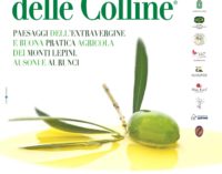 Latina: XIV Concorso provinciale “L’Olio delle Colline”