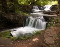 Visite guidate fotografiche e escursionistiche