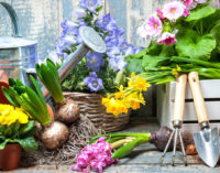 Giardino, orto, campagna, animali: piaceri da coltivare. A Verdi Passioni prove di primavera, il 2 e 3 marzo a Modena