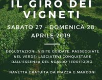 Frascati  – Un weekend con il Giro dei Vigneti