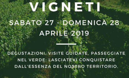 Frascati  – Un weekend con il Giro dei Vigneti