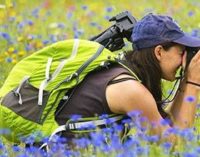 Corso pratico di fotografia della natura 2019-Parco regionale dei Castelli Romani