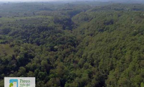 Parco Valle del Treja – Il Parco aiuta a mitigare le emissioni di CO2