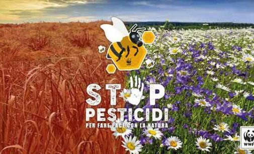 WWF: SUBITO UN PIANO DI AZIONE NAZIONALE PER L’USO SOSTENIBILE DEI FITOFARMACI CHE TUTELI LA SALUTE  DEI CITTADINI E LA NATURA