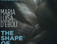 Al Macro di Roma “The shape of sound”  una performance di Maria Luisa D’Eboli