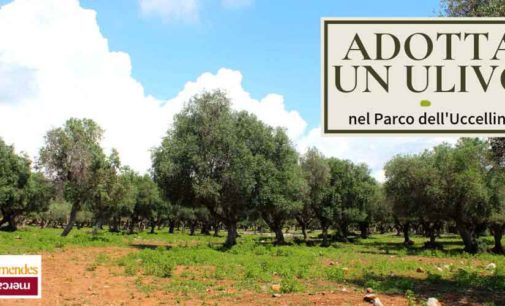 AL VIA LA CAMPAGNA “ADOTTA UN ULIVO NEL PARCO DELL’UCCELLINA”