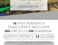 Processi produttivi agricoli ed agroalimentari, al via corsi gratuiti a Caprarola