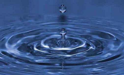 “La memoria dell’acqua”, secondo Masaru Emoto