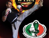 Sport: Kick Boxing-