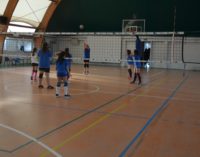 Ssd Colonna (volley), accordo con l’Union Volley Zagarolo. Di Girolamo: “Sinergie fondamentali”