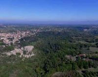 Visita guidata lungo il fiume Treja