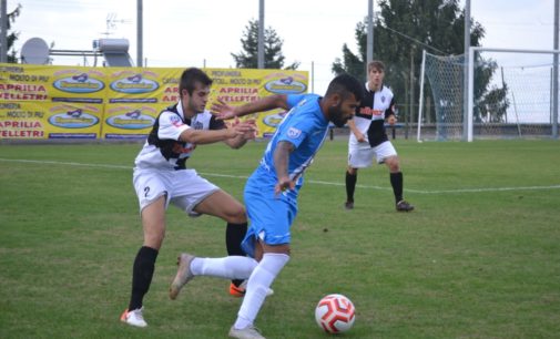 Albalonga (calcio, serie D) in vetta, Louzada: “Continuiamo a lavorare, occhio al Tuttocuoio”