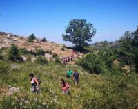 A Piedi Liberi sul Cammino Naturale dei Parchi