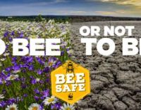 AL VIA PROGETTO DI EDUCAZIONE AMBIENTALE “BEE SAFE” DEL WWF ITALIA E MINISTERO DELL’AMBIENTE