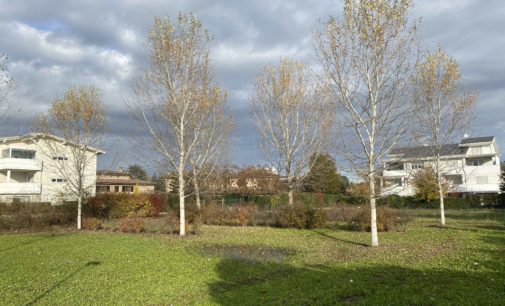 ECOVILLAGGIO MONTALE:  IL PRIMO ECOQUARTIERE nZEB CHE RESISTE AI NUBIFRAGI