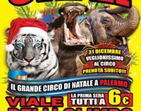 “Dal trapezio alla donna laser: è a Palermo il circo Happy Circus Donna Orfei”