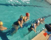 Under 13 femminile, una buona prova per l’F&D Waterpolis