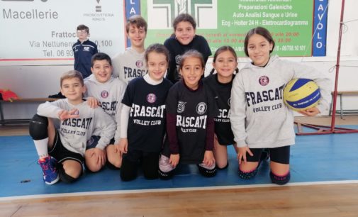 Volley Club Frascati, De Gregorio: “Il minivolley e le Under 12 e 13? Sono stra-soddisfatto”