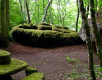 CALCATA – Riapertura di Opera Bosco Museo di Arte nella Natura