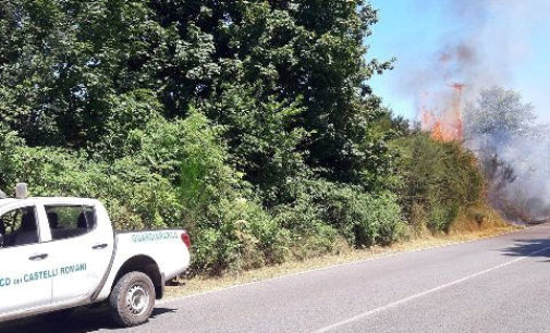 Campagna Antincendio Boschivo 2020