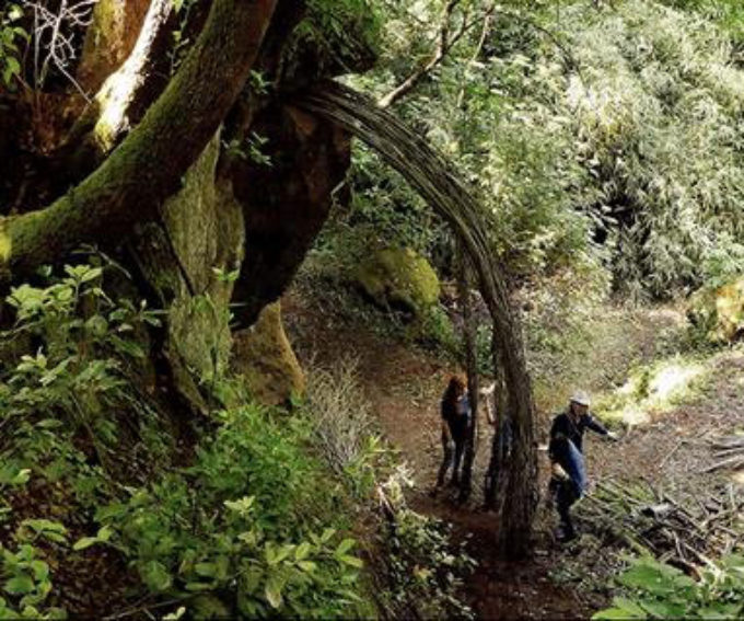 CALCATA – Opera Bosco Museo di Arte nella Natura