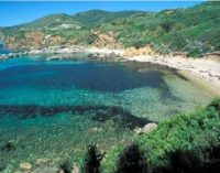 Viaggio all’Isola d’Elba: informazioni, curiosità e spiagge più belle