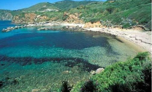 Viaggio all’Isola d’Elba: informazioni, curiosità e spiagge più belle