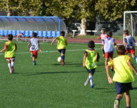 Football Club Frascati, Scuola calcio (d’Elite)