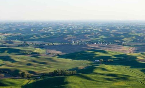 EUROPA E ITALIA PIÙ ATTENZIONE E FONDI PER UN VERO RILANCIO DEL SETTORE GREEN. 