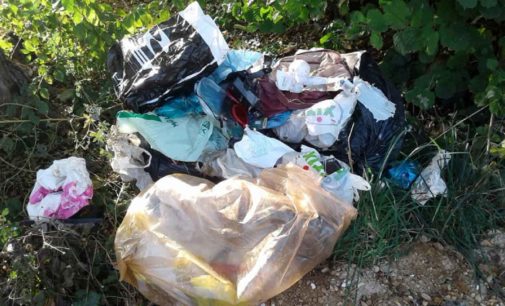 MARINO NON E’ UNA DISCARICA…FAMILIARE